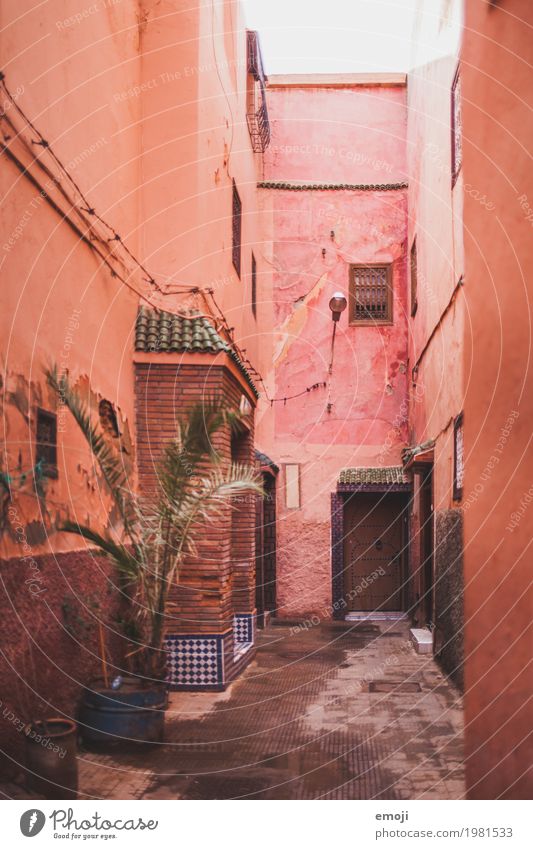 Marrakech I Town House (Residential Structure) Wall (barrier) Wall (building) Facade Alley Entrance Red Colour Mediterranean Marrakesh Colour photo