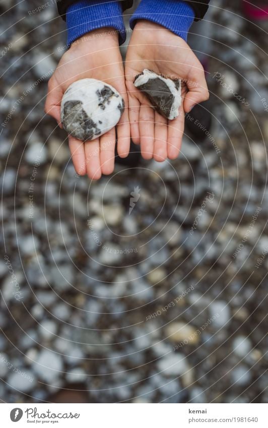 young stones Wellness Life Contentment Senses Calm Leisure and hobbies Playing Human being Boy (child) Hand Fingers Palm of the hand 1 3 - 8 years Child Infancy