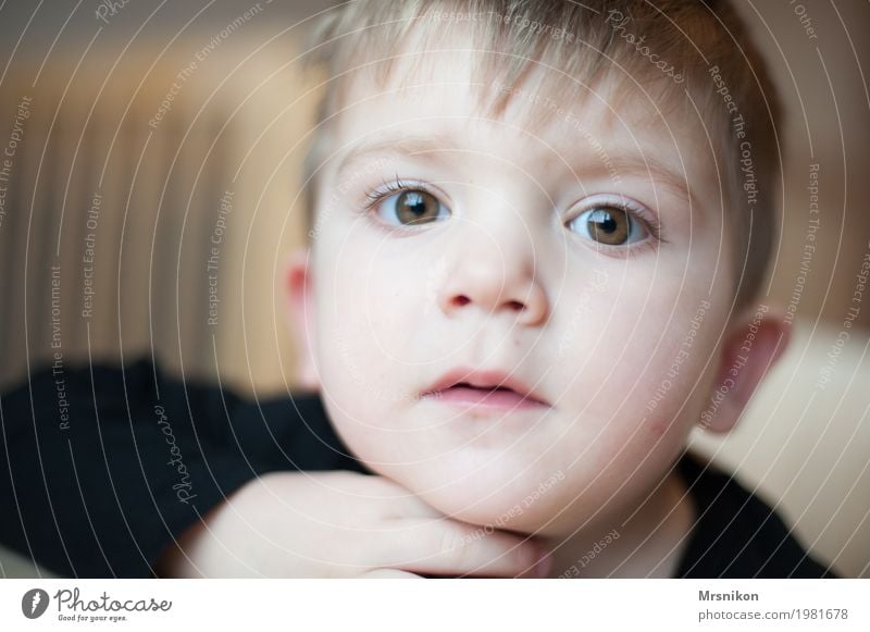 view Human being Child Toddler Boy (child) Infancy Life Eyes 1 1 - 3 years Communicate Looking Wait Son Blonde Brown eyes green eyes Beautiful Cute Brash Think