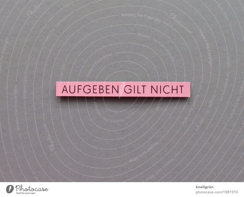 GIVE UP DOES NOT APPLY Characters Signs and labeling Communicate Sharp-edged Strong Gray Pink Black Emotions Moody Bravery Self-confident Power Willpower