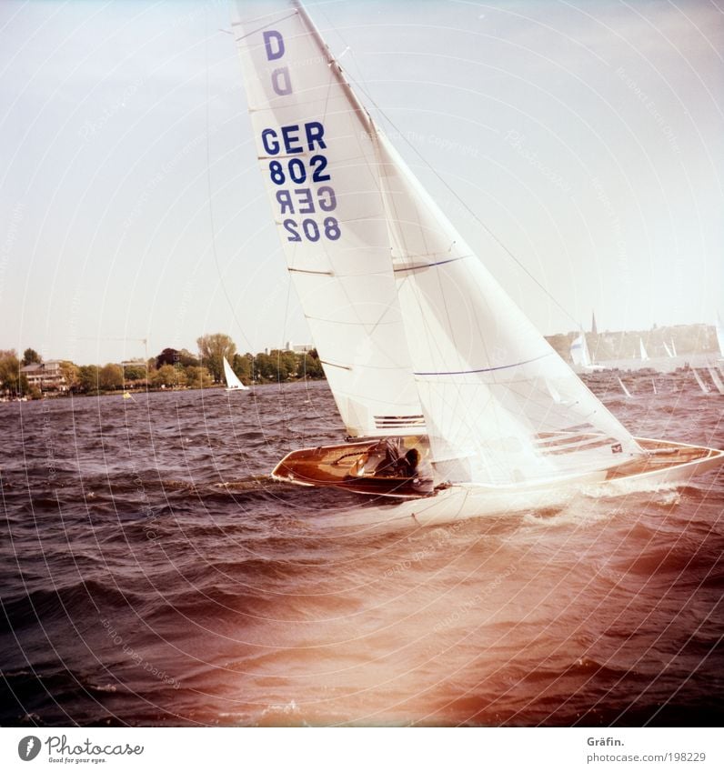 heel Sailing Waves Aquatics Regatta Summer Lake Hamburg Alster Sailboat Sailing ship On board Driving To swing Sports Together Wet Athletic Brave Endurance