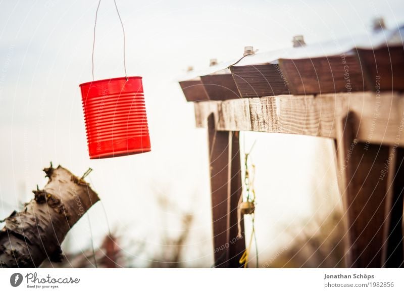 box, red Environment Nature Beautiful weather Plant Tree Contentment Joie de vivre (Vitality) Tin Jewellery Garden Garden allotments Roof Roof edge Hut