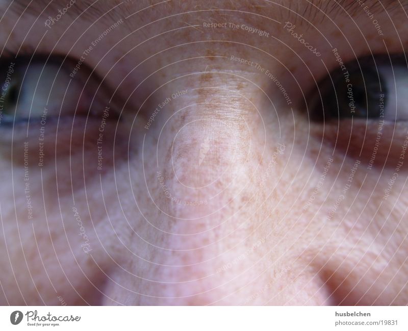 freckles Woman Freckles Eyes Nose