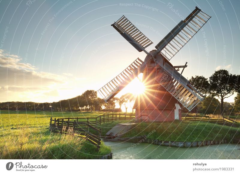 sunshine behind Dutch windmill Sun Nature Landscape Sky Summer Beautiful weather Grass Meadow River Building Architecture Green Windmill star sunrays field