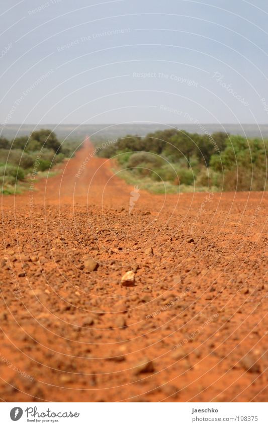 50 kilometres straight ahead Cloudless sky Beautiful weather Warmth Drought Desert Street Stone Sand Vacation & Travel Exceptional Far-off places Free Infinity