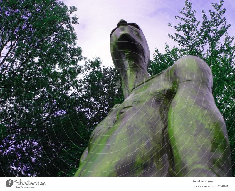 proud Sculpture Wood Forest Clearing Yellow Obscure Sky