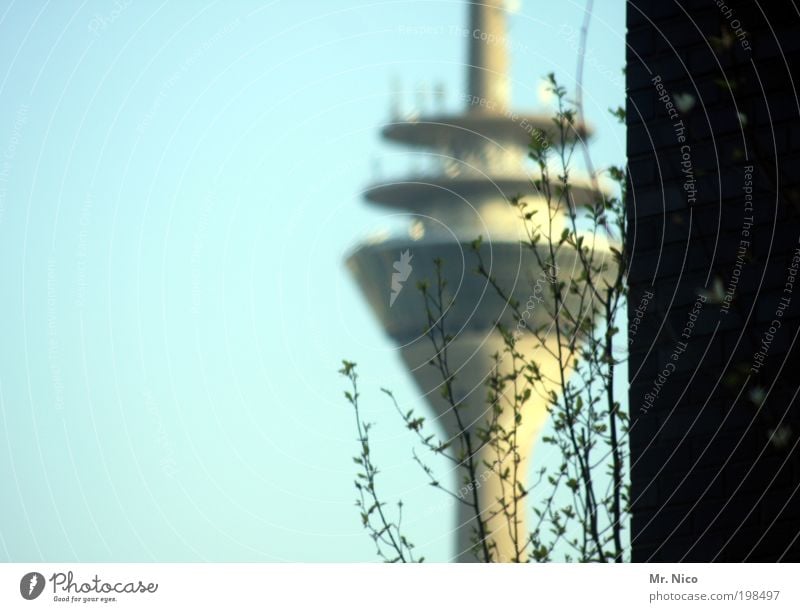 250 Bushes Capital city Manmade structures Building Architecture Wall (barrier) Wall (building) Landmark Future Television tower Duesseldorf Vantage point