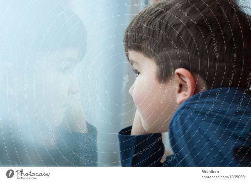 At the window Human being Child Boy (child) Infancy Life 1 3 - 8 years luck Near natural Curiosity Cute Positive Happiness Contentment Trust Safety