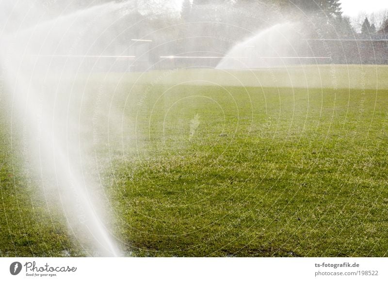 Lawn Ballet I Football pitch Elements Water Drops of water Spring Summer Climate Beautiful weather Fog Rain Warmth Drought Agricultural crop Grass Blow up Cast