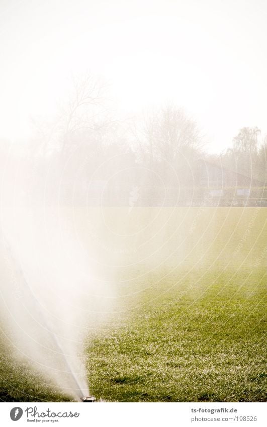 Lawn Ballet II Stands Sporting Complex Football pitch Water Drops of water Sun Spring Summer Beautiful weather Fog Rain Warmth Drought Grass Grass surface