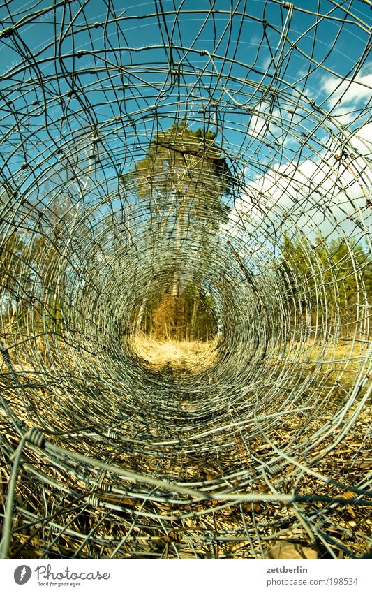 wire mesh fence Wire netting fence Fence Wire fence Coil Rolled up Beaded Enclosure Summer Brandenburg Tree Nature Vista Vantage point Perspective Relaxation