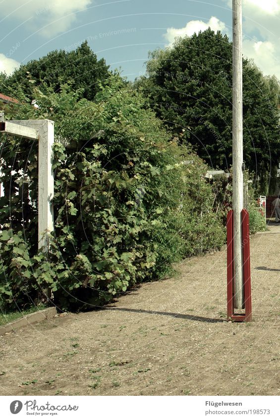 desertion Lifestyle Leisure and hobbies Sharp-edged Determination Passion Flagpole Shadow Bushes Flowerbed Sky Tree Nature Colour photo Exterior shot Day