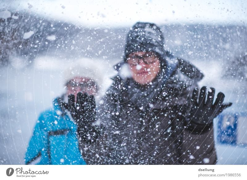 Snow flurries. Leisure and hobbies Playing Snowball fight Trip Winter Winter vacation Winter sports Human being Masculine Feminine Young woman