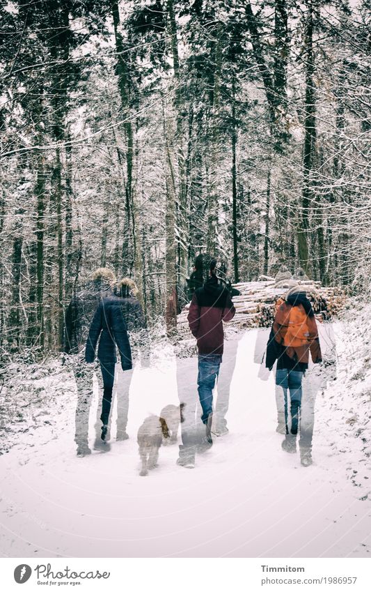 (3 + 1) x 2. Human being Environment Nature Winter Snow Tree Forest Animal Dog Relaxation Going Pink Joie de vivre (Vitality) Together To go for a walk