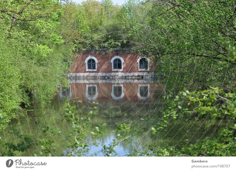 mirror-inverted Nature Landscape Plant Animal Water Spring Beautiful weather Tree Bushes Foliage plant Park Manmade structures Building Tourist Attraction