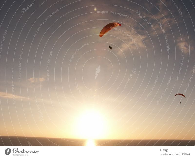 Paragliding in the sunset at the sea Paraglider Sunset Ocean Sports Flying San Diego County Torrey Pines Gliderport