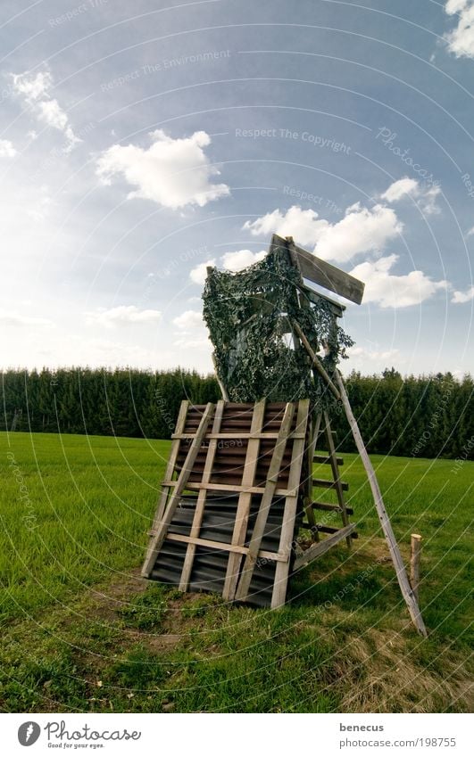 on the stalk Hunting Nature Landscape Sky Clouds Spring Beautiful weather Grass Field Observe Blue Green Watchfulness Leisure and hobbies Hunting Blind