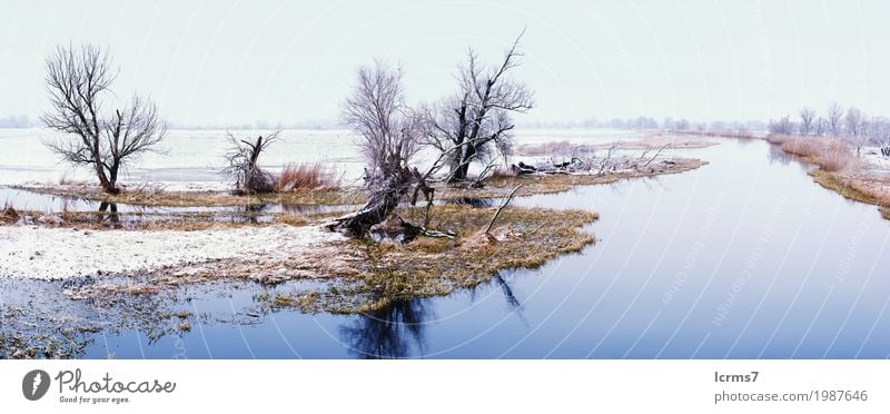 Winter landscape on Havel River (Germany). Havelland Vacation & Travel Tourism Trip Adventure Nature Climate Weather Beautiful weather Blue snow river