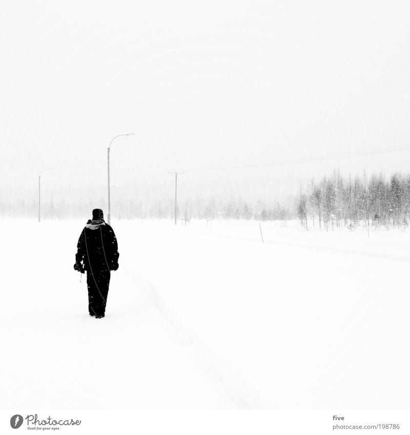 100 - the storm Vacation & Travel Trip Adventure Far-off places Freedom Winter Snow Winter vacation Hiking Human being Masculine Man Adults Nature Sky