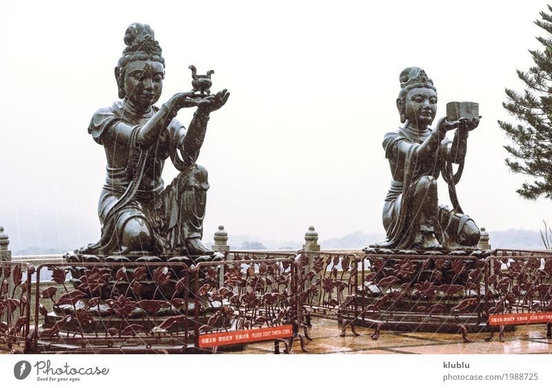 Tian Tan Buddha Temple, Hong Kong Meditation Art Culture Architecture Old Large Religion and faith pray Statue figurine big Temple of Heaven Buddhism Asia