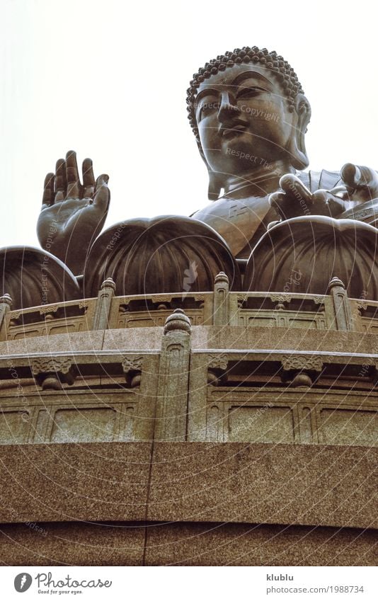 Tian Tan Buddha Temple, Hong Kong Meditation Art Culture Architecture Old Large Religion and faith pray Statue figurine big Temple of Heaven Buddhism Asia