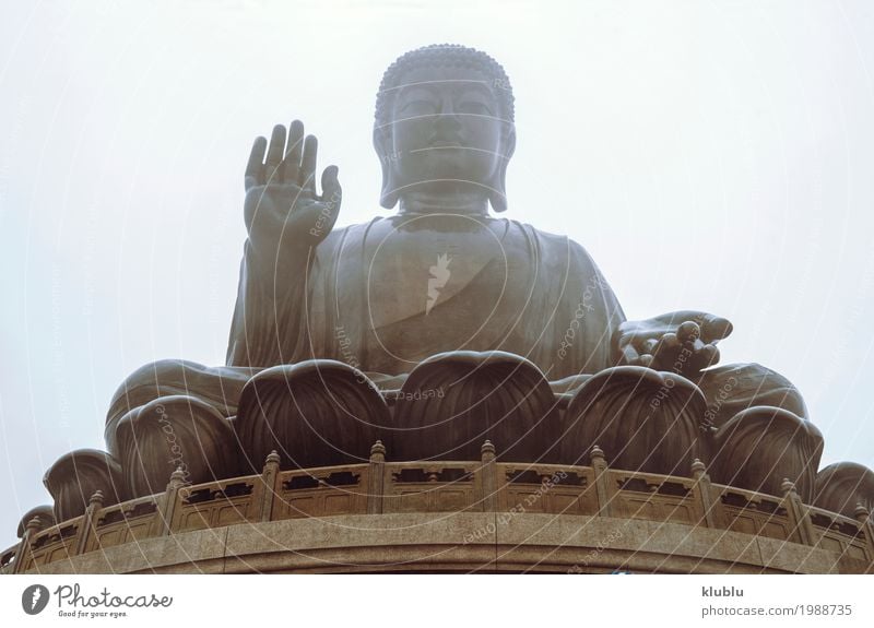 Big Buddha statue Meditation Art Culture Architecture Old Large Religion and faith Statue big Temple of Heaven Buddhism Asia Ancient buddhist sculpture asian