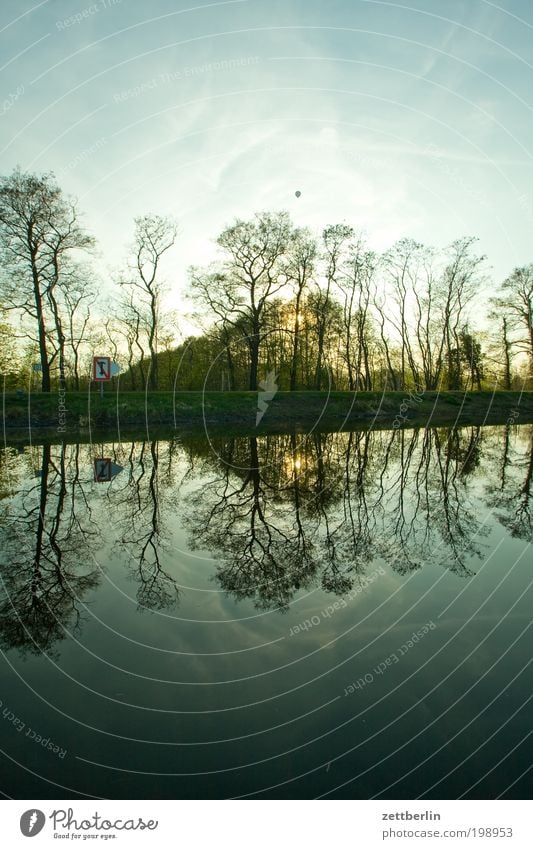 Havel near Pinnow Nature Brandenburg Relaxation River Spring Havel Land Channel Recreation area Lake Reflection Tree trunk Coast Lakeside River bank Forest