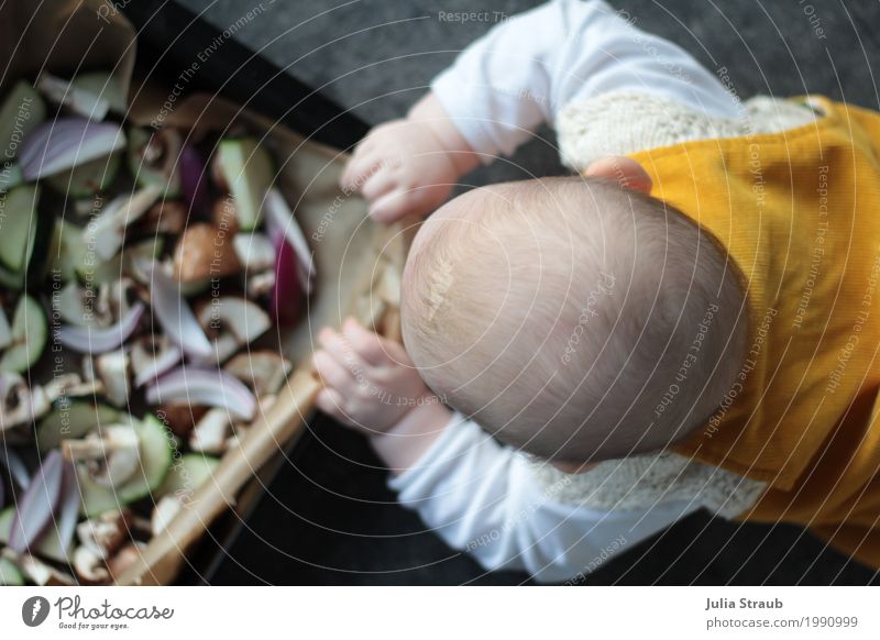 Food barrel :D Vegetable Onion Button mushroom Zucchini Nutrition Dinner Organic produce Vegetarian diet Finger food Baking tin Feminine Baby Infancy 1