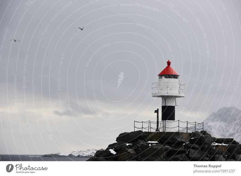 Lighthouse in Lofoten Leisure and hobbies Vacation & Travel Tourism Trip Adventure Far-off places Freedom Sightseeing Ocean Winter Snow Winter vacation Mountain