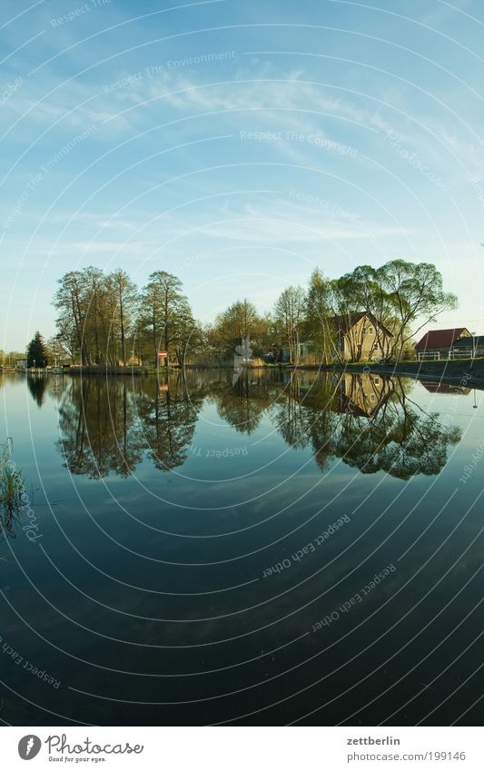 Again the Havel near Pinnow Nature April Brandenburg Relaxation River Spring Havel Land Sewer Channel Recreation area Lake Reflection Tree trunk Coast Lakeside