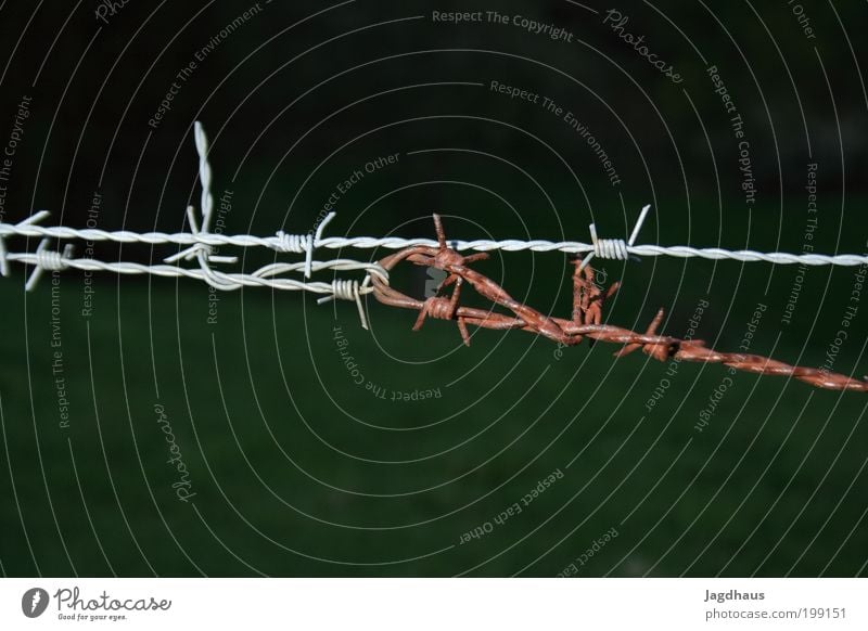 barbwire Couple Field Strongbox Razor blade Decoration Metal Steel Rust Sign Crucifix Knot Bow To hold on Hunting Fight Sadness Embrace Old Threat Dark