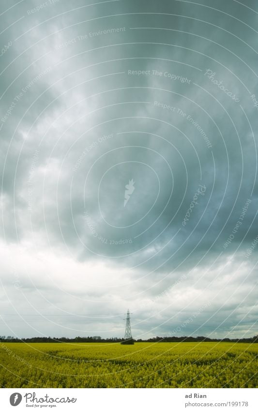 under current Agriculture Workplace Farm Environment Nature Landscape Water Sky Clouds Storm clouds Weather Bad weather Wind Canola Canola field Field