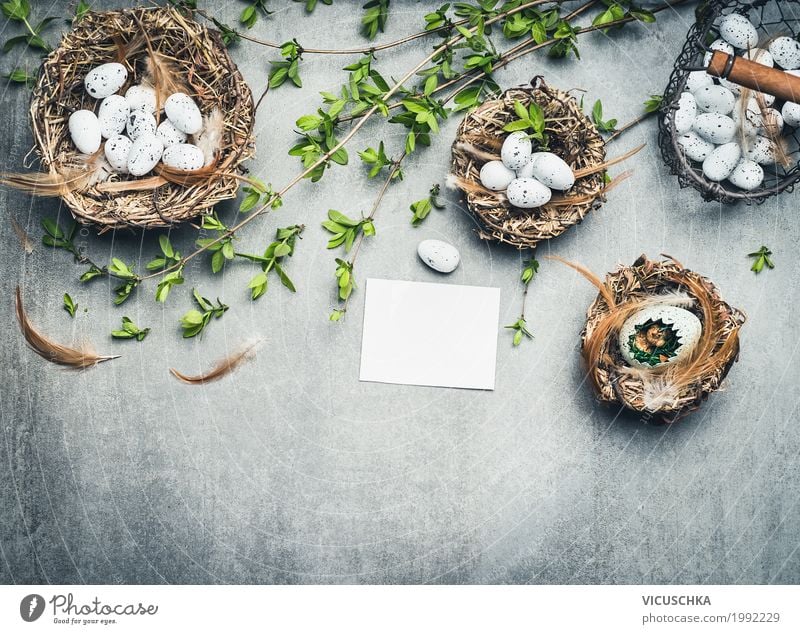 Easter background with bird's nests, eggs and twigs Style Design Decoration Feasts & Celebrations Nature Spring Plant Signs and labeling Love Background picture