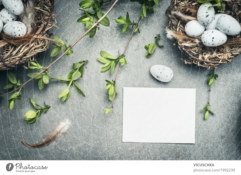 Easter eggs nest with eggs and white paper card Style Design Decoration Feasts & Celebrations Nature Plant Spring Flower Leaf Blossom Love Retro Yellow Joy