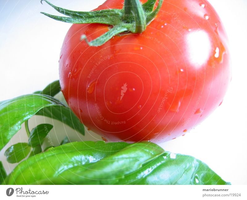 tomato_basil Basil Italy Herbs and spices Green Red Healthy Vitamin Tomato Nutrition