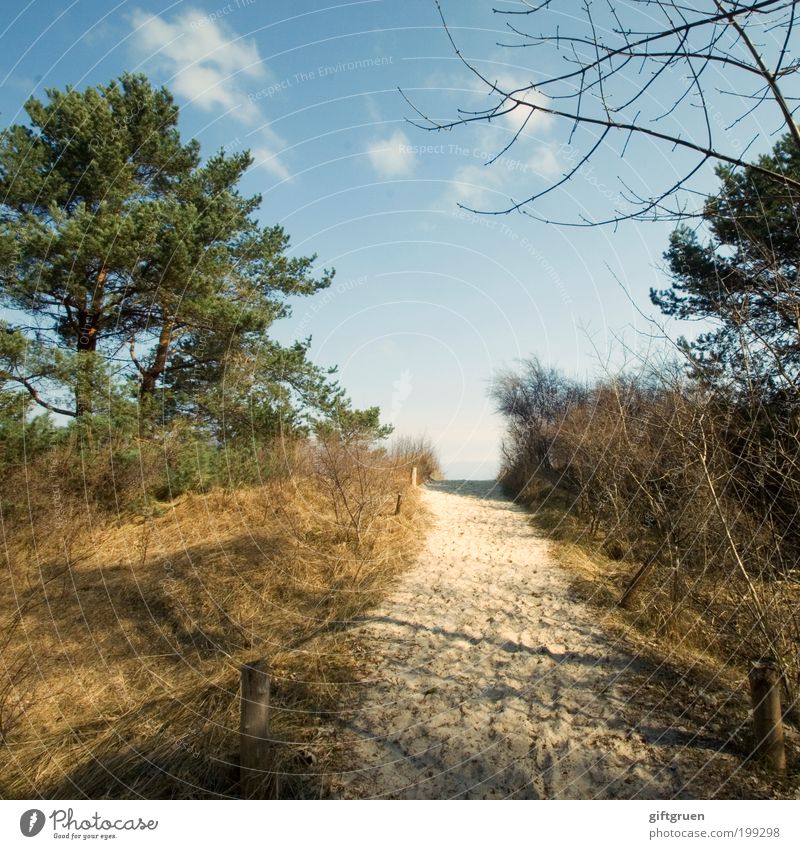 Where's the beach? Vacation & Travel Tourism Trip Summer Summer vacation Hiking Environment Nature Landscape Sand Water Sky Plant Tree Grass Bushes Hill Coast