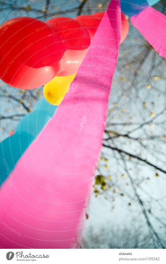 tree ornaments Feasts & Celebrations Birthday Joy Happiness Joie de vivre (Vitality) Hot Air Balloon Multicoloured Garden festival Playing Dreamily Diagonal