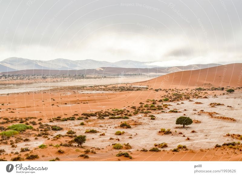 landscape in Namibia Tourism Safari Expedition Mountain Nature Landscape Plant Sand Warmth Grass Bushes Hill Desert Dry Idyll Environmental protection Savannah