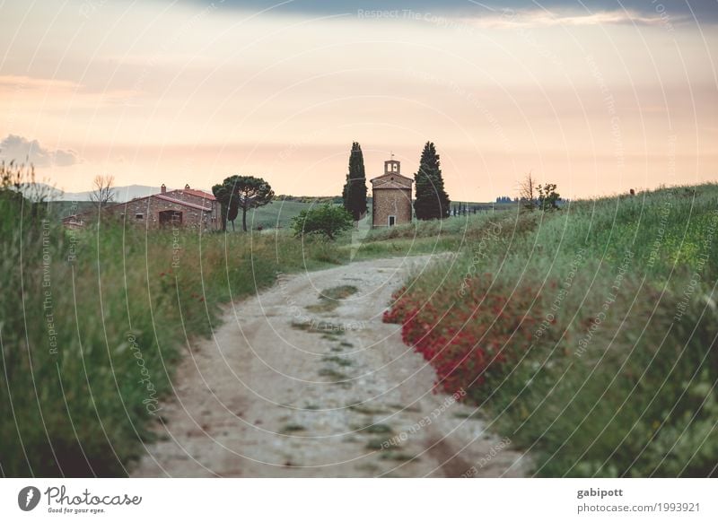 Way to Vitaleta Chapel, Val d'Orcia, Tuscany, Italy Harmonious Contentment Senses Relaxation Calm Meditation Fragrance Vacation & Travel Tourism Trip Adventure