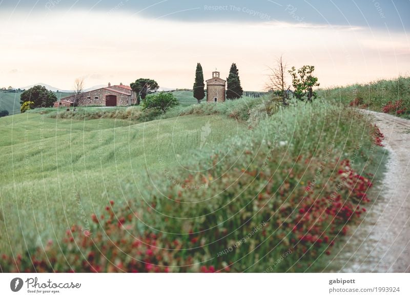 Vitaleta Chapel, Val d'Orcia, Tuscany, Italy Vacation & Travel Tourism Trip Sightseeing Environment Nature Landscape Plant Earth Air Sky Summer Climate