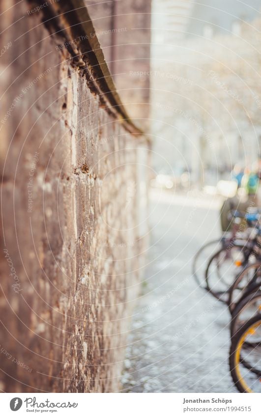 Anger Erfurt I Winter Religion and faith Christianity Protestantism Wall (barrier) Bicycle Bicycle rack Monastery Downtown Sunbeam Old Building Architecture