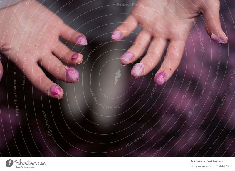 fallen Skin Hand Fingers Touch Fragrance Uniqueness Beautiful Violet Pink finger berries natural cosmetics Pastel tone Colour photo Blur Shallow depth of field