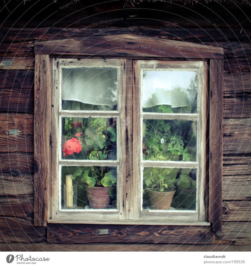 In the Kashubian Land Poland Europe Village House (Residential Structure) Hut Window Old Simple Historic Brown Symmetry Past Window pane Wood Wooden window