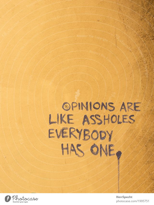 About O-Holes Wall (barrier) Wall (building) Facade Characters Graffiti Trashy Gloomy Yellow Freedom of expression Opinion asshole Figure of speech English