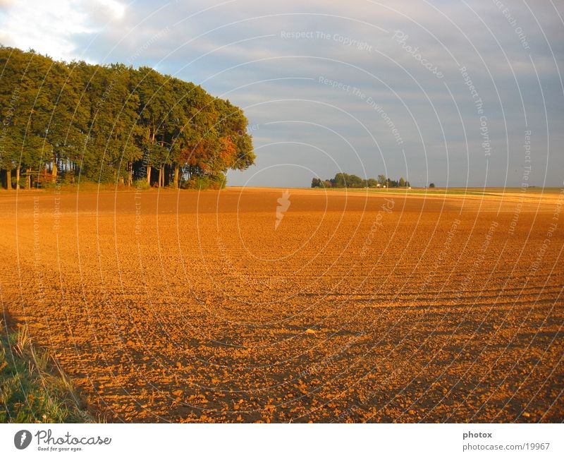 Autumn in Hesseland Forest Field Light Dusk Sun Sky