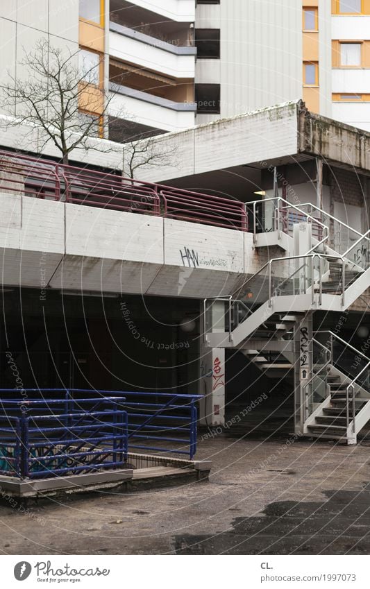 URBAN NATURE Autumn Winter Tree Hannover Town Downtown Deserted High-rise Places Manmade structures Building Architecture Wall (barrier) Wall (building) Stairs