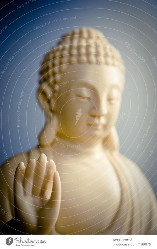 LITTLE BUDDHA Sculpture Sit Exotic Friendliness White Caution Serene Calm Self Control Wisdom Belief Religion and faith Buddhism Colour photo Studio shot Detail