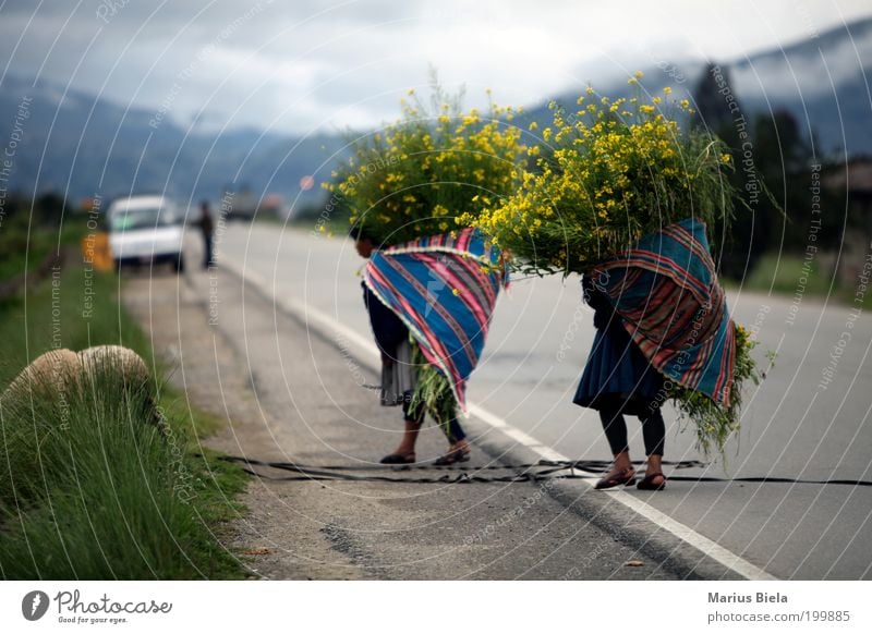 Busy Mother's Day... Nature Fog Flower Blossom Foliage plant Peak La Paz Pedestrian Pelt Work and employment Carrying Colour photo Ethno patttern Rag Backpack