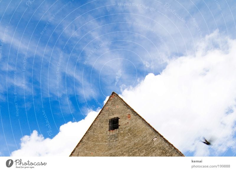 A swallow Sky Clouds Summer Beautiful weather Warmth Village House (Residential Structure) Detached house Wall (barrier) Wall (building) Facade Window Roof