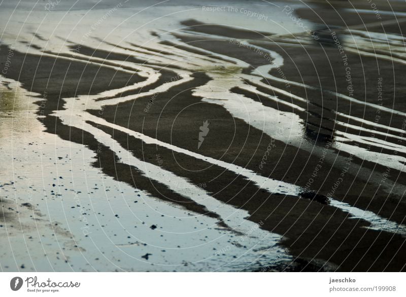 Mini Mississippi Delta Street Dirty Glittering Wet Gloomy Gray Sadness Fear of the future Dangerous Nature Environment Environmental pollution